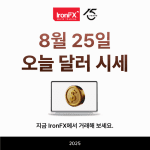 오늘 달러 환율 시세 8월 25일